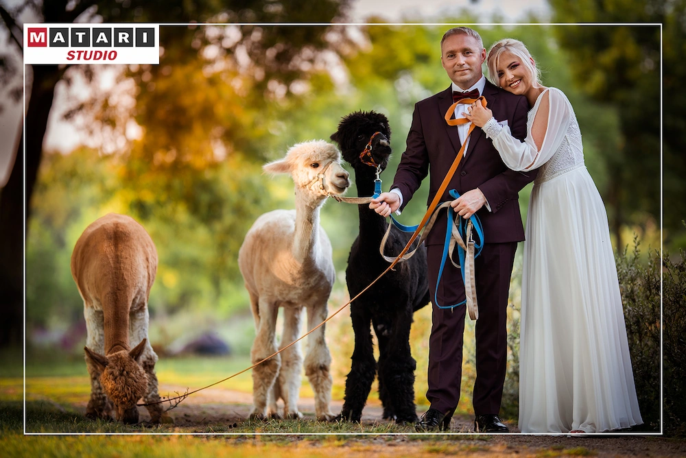 Zdjęcie plenerowe 014