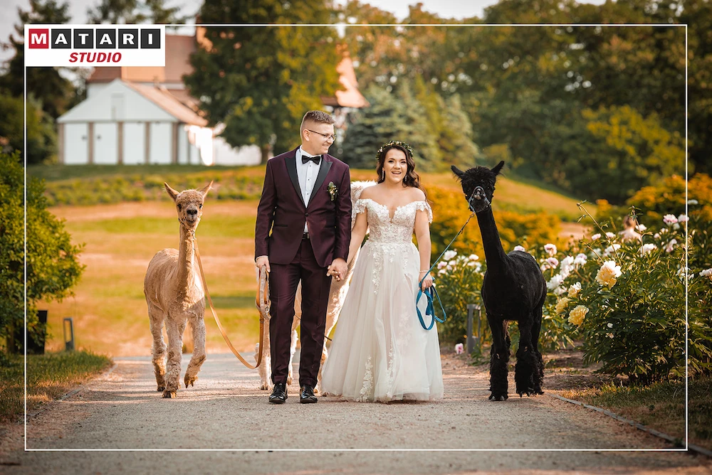 Zdjęcie plenerowe 018